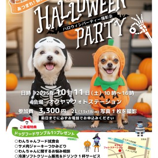 ハロウィン撮影会決定